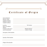 12+ Excellent Certificate of Origin Word Templates