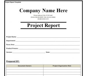 12 FREE Project Report Templates [WORD, PDF, PPTX] – Word Excel Templates