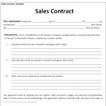 17+ Excellent Sales Contract Templates [WORD & PDF]