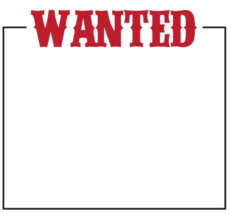 Top 14 Wanted Poster Templates [WORD & PDF] – Word Excel Templates